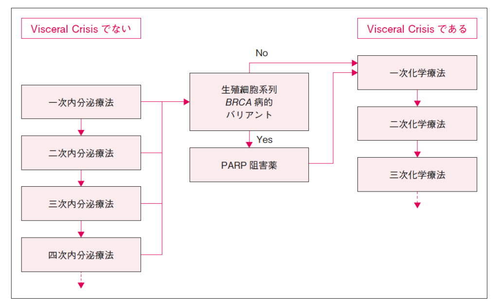  患者さんのための乳がん診療ガイドライン 2023年版   日本乳癌学会  