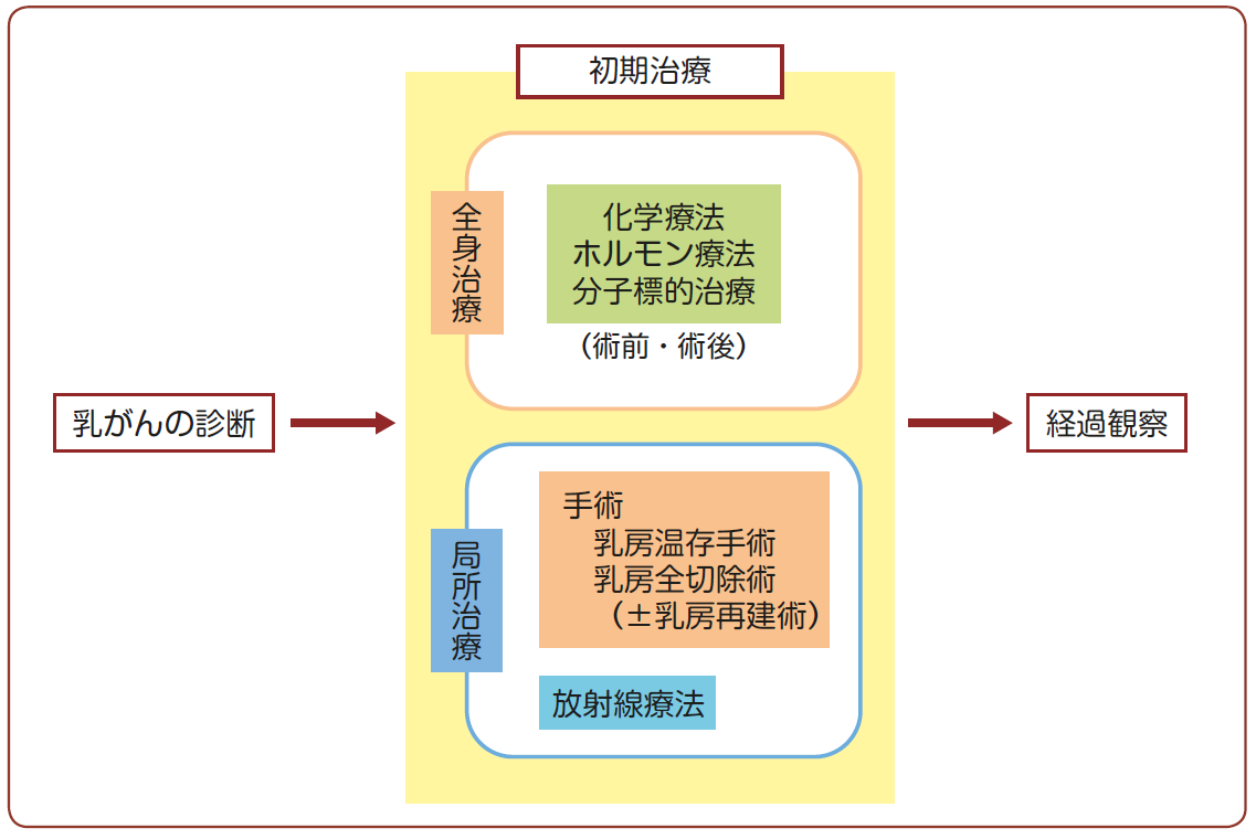 Q19 初期治療の考え方と全体の流れについて教えてください ガイドライン 患者さんのための乳癌診療ガイドライン2019年版